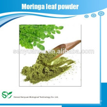 De alta calidad pura Moringa hoja natural en polvo